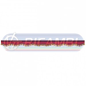 7001 ROSSA copia